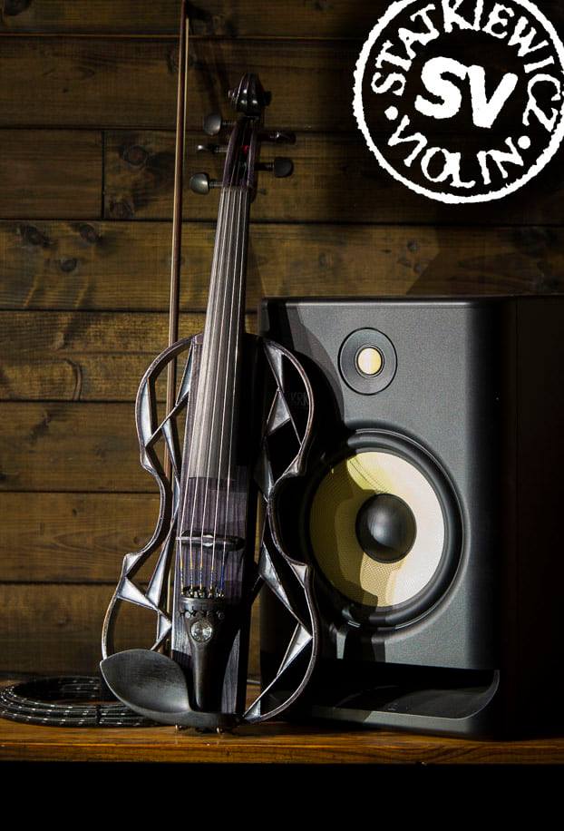 5 strings electric violin